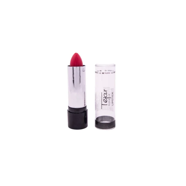28110- LABIAL TEJAR LIP STICK
