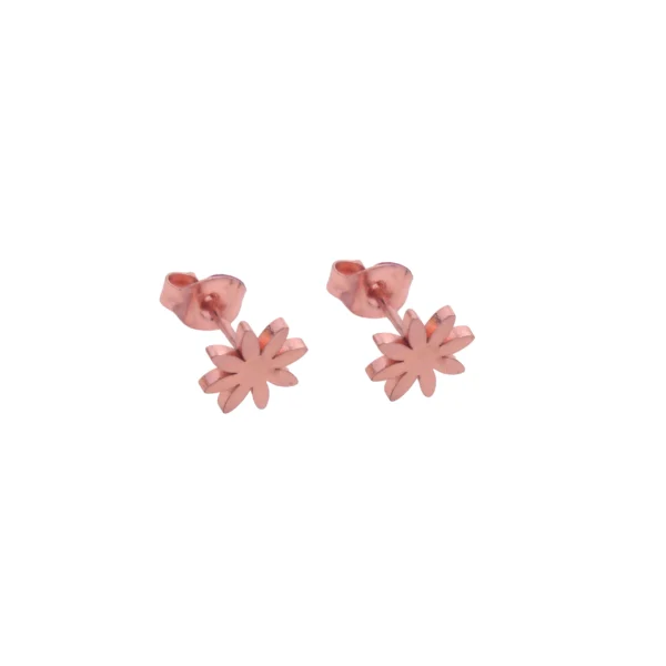 ACE647X- AROS PASANTES FLOR ACERO ROSE