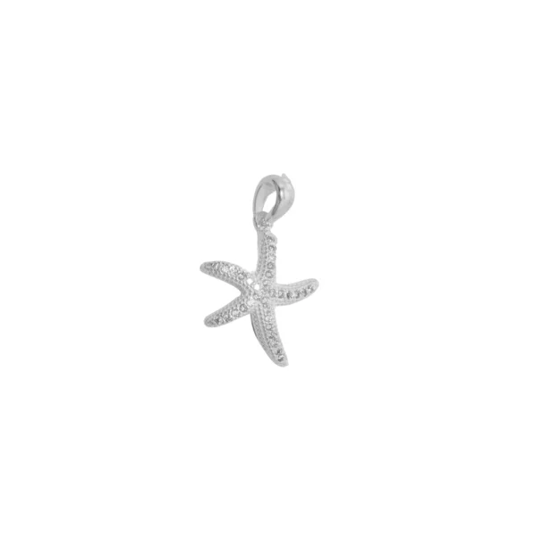 D21H1-DIJE DE PLATA 925 ESTRELLA DE MAR CON ZIRCONIA