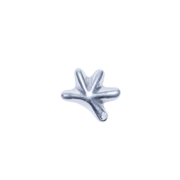 DIJE PLATA 925 INFLADO ESTRELLA - D2648 - Image 2