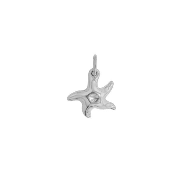 D3004- DIJE PLATA 925 INFLADO ESTRELLA