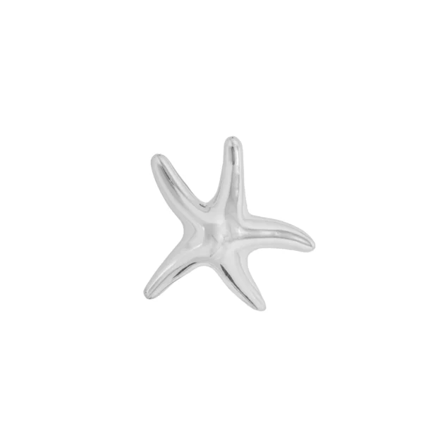 D3080- DIJE DE PLATA 925 ESTRELLA INFLADA